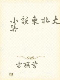 小说东北大炕全集