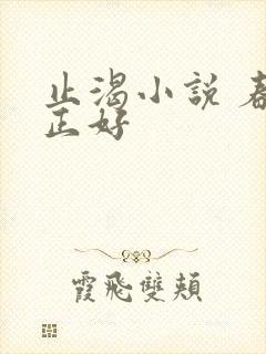 止渴小说 春光正好封面