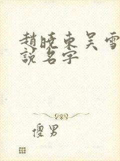 赵晓东吴雪晴小说名字
