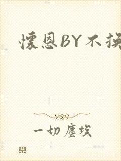 怀恩BY不换