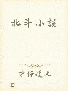北斗小说封面