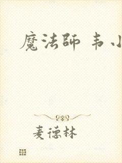 魔法师 韦小宝