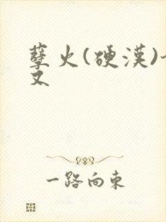 孽火(硬汉)今又封面