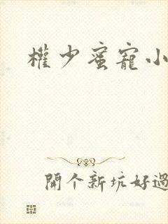 权少蜜宠小娇妻封面