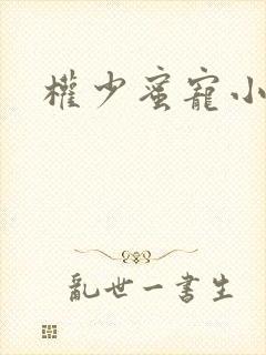 权少蜜宠小娇妻