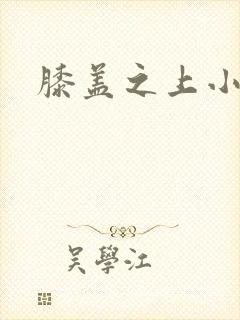 膝盖之上小说封面