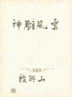神雕风云