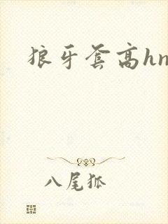 狼牙套高hnp