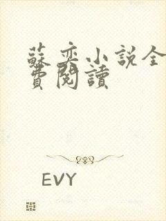 苏奕小说全文免费阅读封面