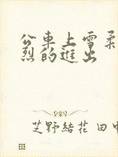 公车上雪柔被猛烈的进出