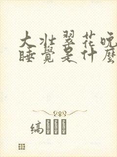 大壮翠花晚上不睡觉是什么电视剧封面