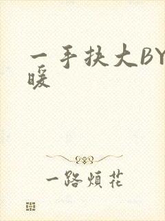 一手扶大BY泱暖封面