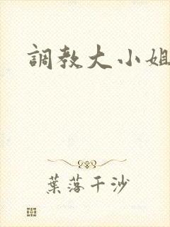 调教大小姐