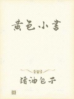 黄色小书封面