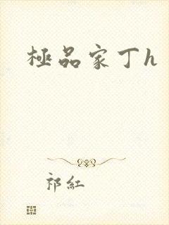极品家丁h