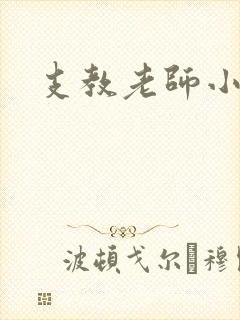 支教老师小说封面