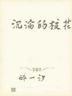 沉沦的校花