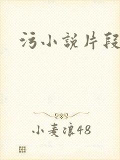 污小说片段