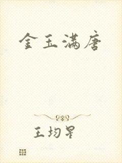 金玉满唐封面