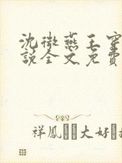 沈微燕王穿越小说全文免费阅读