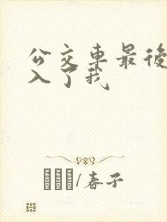 公交车最后一排入了我