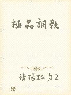 极品调教