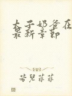 太子奶爸在花都最新章节封面