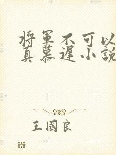 将军不可以魏云真慕迟小说笔趣阁
