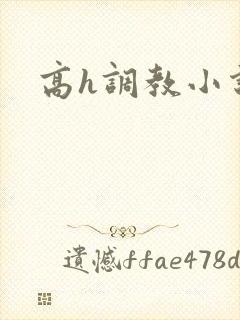 高h调教小说