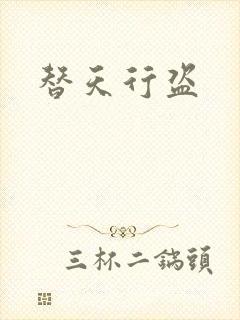替天行盗