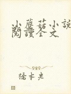 小蘑菇小说免费阅读全文