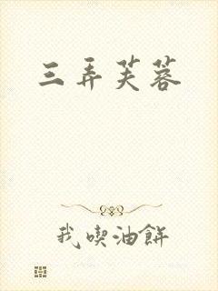 三弄芙蓉封面