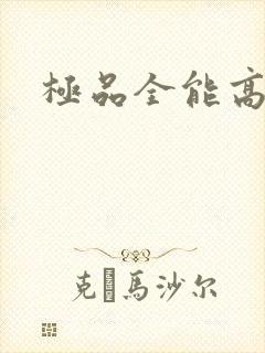 极品全能高手