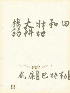 杨大壮和田桂花的耕地封面