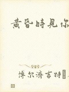 黄昏时见你封面