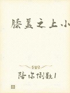 膝盖之上小说封面