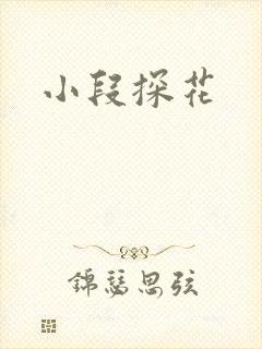 小段探花封面