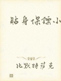 贴身保镖小说