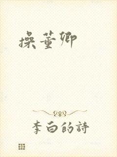 操董卿