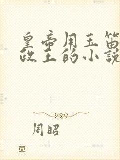 皇帝用玉笛整摄政王的小说