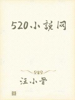 520小说网