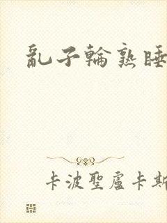 乱子轮熟睡1区封面
