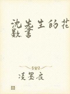沈先生的花式调数书