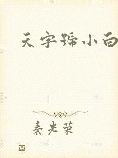 天字号小白脸封面