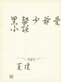 黑帮少爷爱上我小说