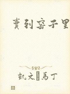 卖到窑子里np封面