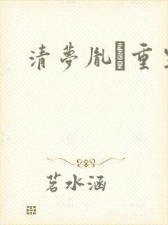 清梦胤礽重生封面