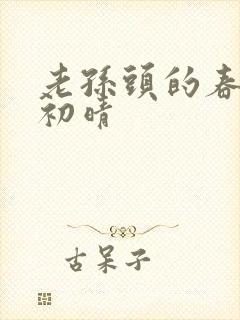老孙头的春天林初晴封面