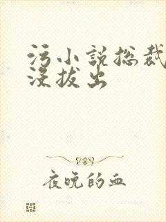 污小说总裁整夜没拔出