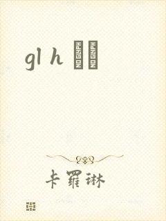 gl h С˵封面